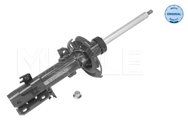 Shock Absorber (726 623 0057)