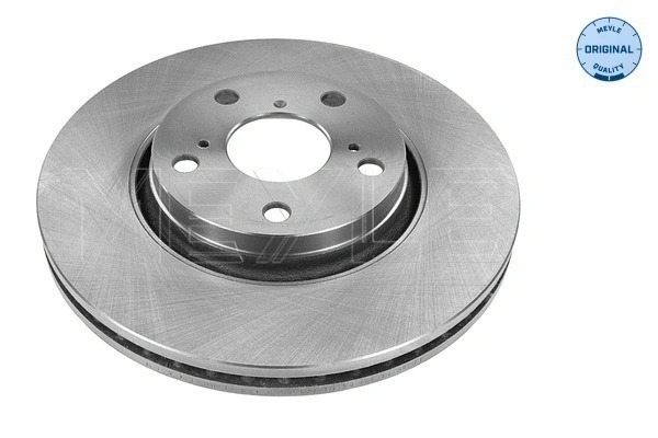 Brake Disc (30-15 521 0119)