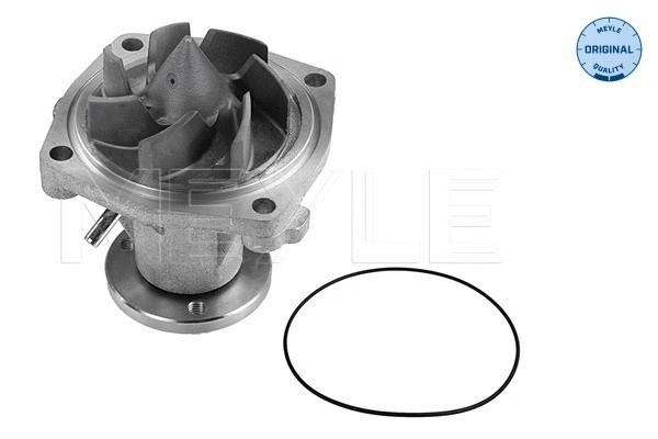 Water Pump, engine cooling (713 220 0004)