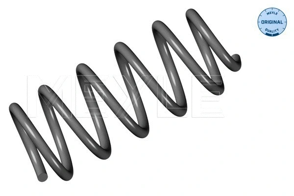 Suspension Spring (100 739 0033)