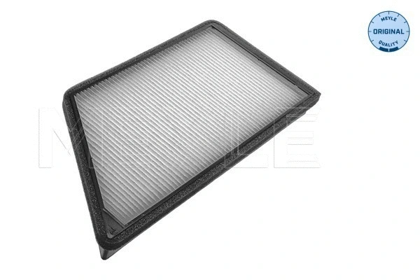 Filter, cabin air (11-12 319 0001)