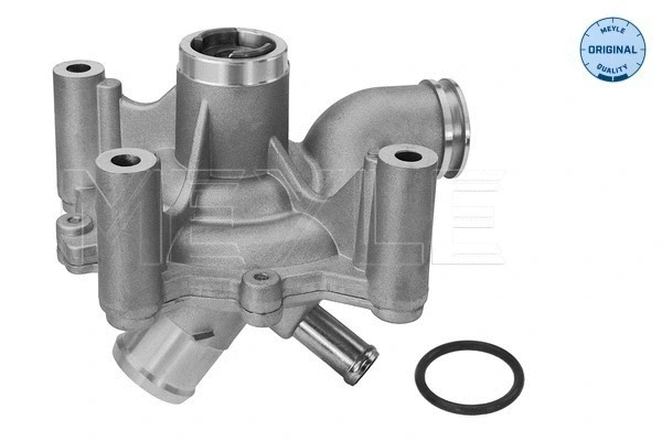 Water Pump, engine cooling (313 220 0013)