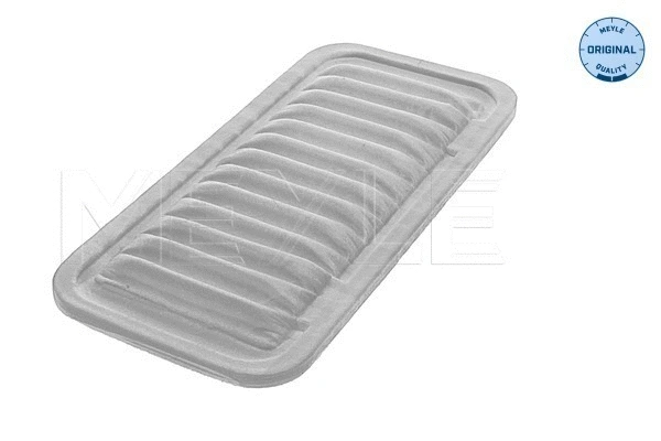 Air Filter (30-12 321 0002)