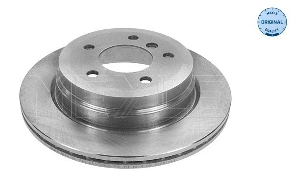 Brake Disc (315 523 0050)