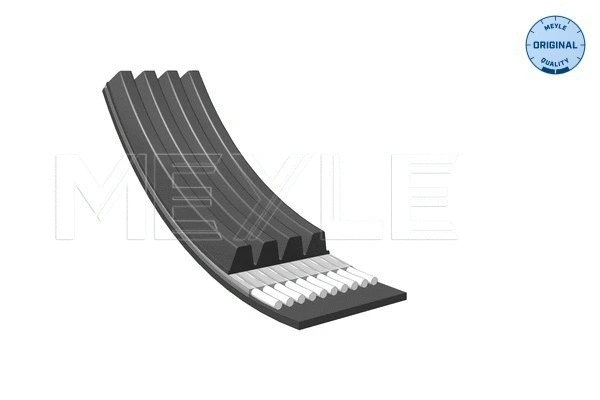 V-Ribbed Belt