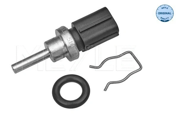 Sensor, coolant temperature (514 821 0002)