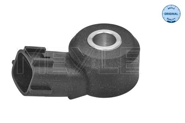 Knock Sensor (214 811 0000)