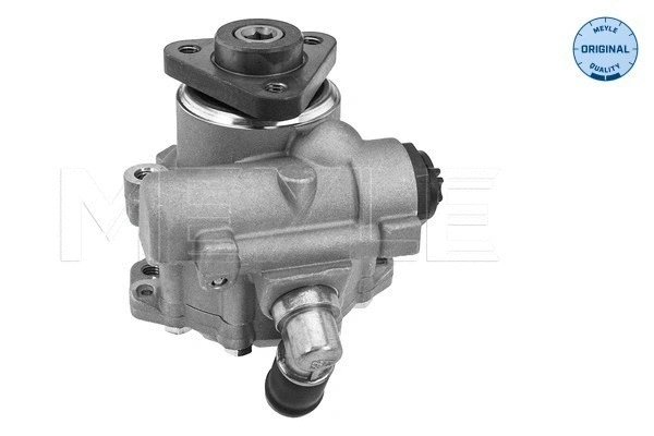 Hydraulic Pump, steering (314 631 0025)