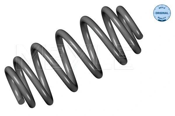 Suspension Spring (100 739 0040)