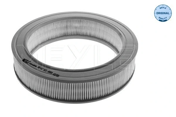 Air Filter (16-12 321 0003)