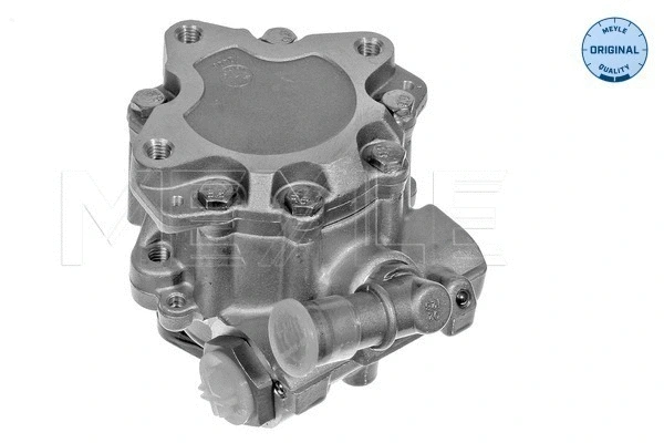 Hydraulic Pump, steering (114 631 0020)