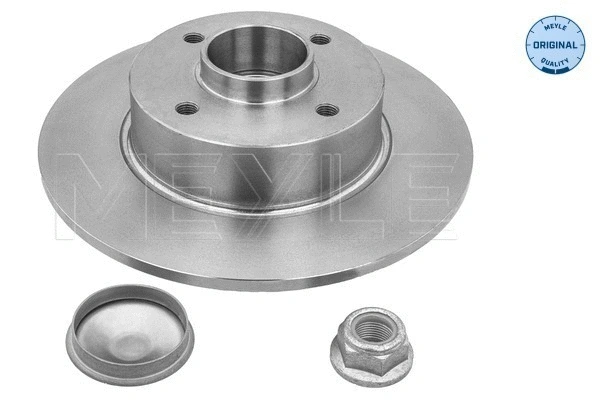 Brake Disc (16-15 523 4114)