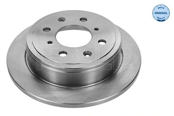 Brake Disc (31-15 523 0001)