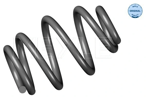 Suspension Spring (314 739 0000)