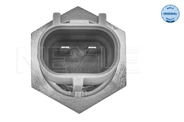 Sensor, intake air temperature