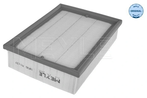 Air Filter (312 137 2005)