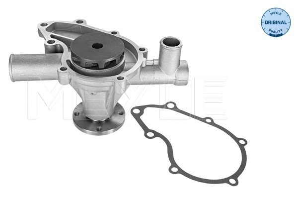 Water Pump, engine cooling (313 011 1900)