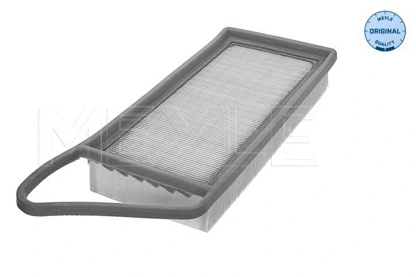 Air Filter (11-12 321 0009)