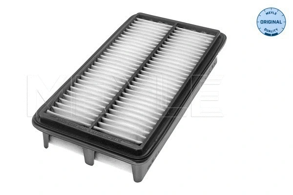 Air Filter (28-12 321 0011)