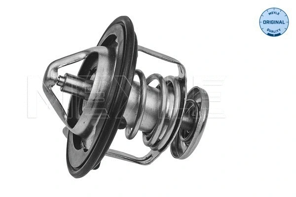 Thermostat, coolant (31-28 228 0002)