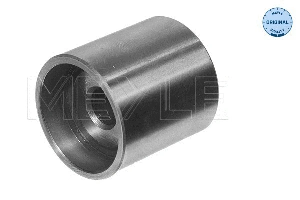 Deflection/Guide Pulley, timing belt (100 109 0034)