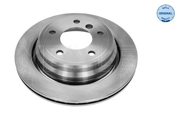 Brake Disc (315 523 0058)
