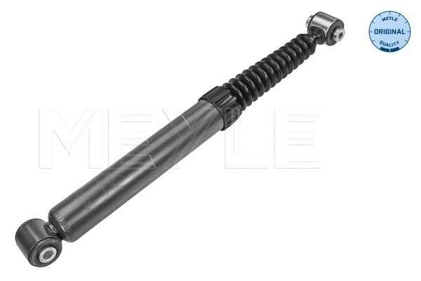 Shock Absorber (11-26 725 0015)