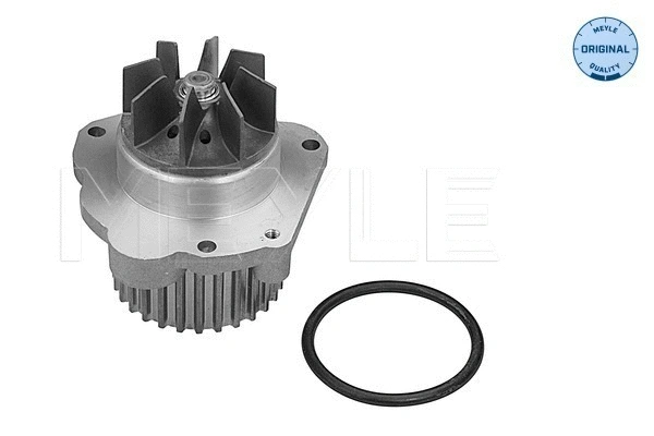 Water Pump, engine cooling