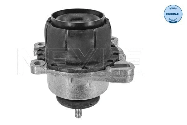Mounting, engine