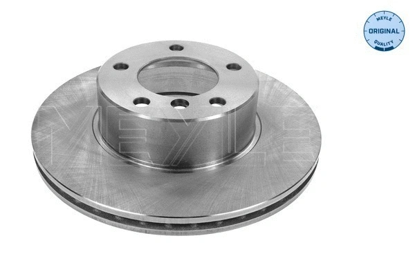 Brake Disc (315 521 3019)