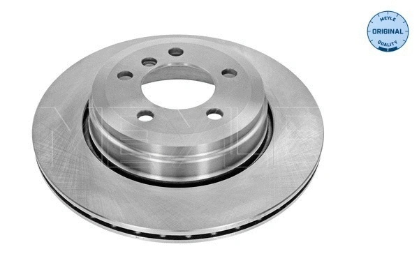Brake Disc (315 523 0045)