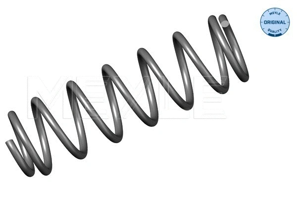 Suspension Spring (100 739 0011)