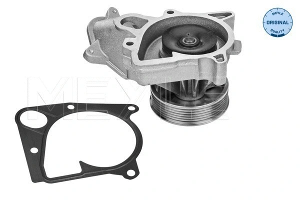 Water Pump, engine cooling (313 220 0001)
