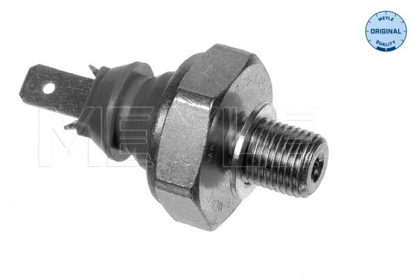 Oil Pressure Switch (100 919 0029)