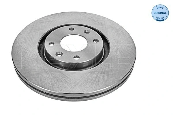 Brake Disc (40-15 521 1001)