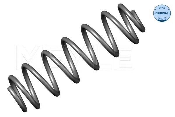 Suspension Spring (100 739 0006)