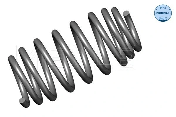Suspension Spring (614 739 0004)
