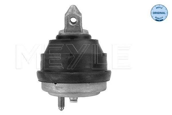 Mounting, engine (300 221 1128)