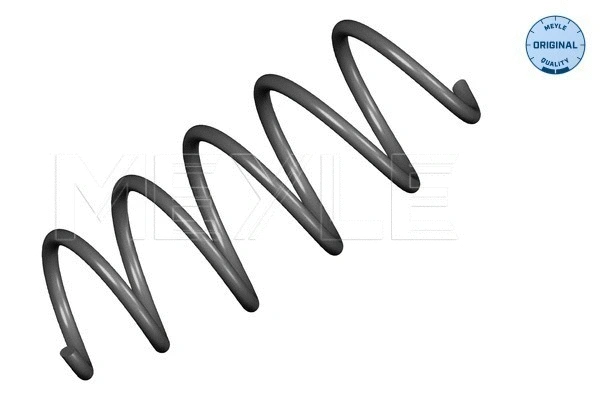 Suspension Spring (614 639 0031)