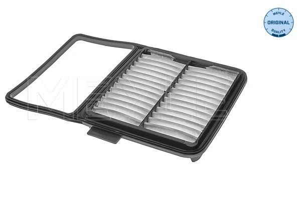 Air Filter (30-12 321 0034)
