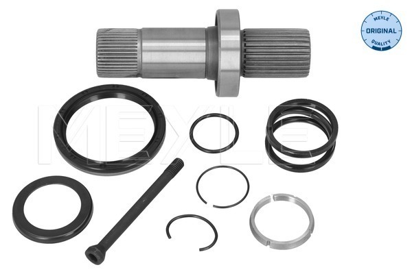 Stub Axle, differential (100 498 0251)