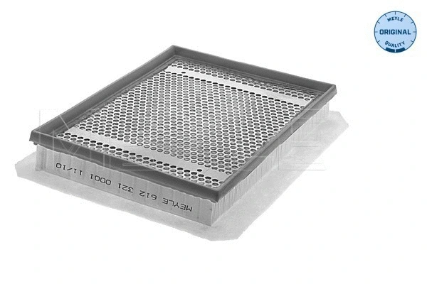 Air Filter (612 321 0001)