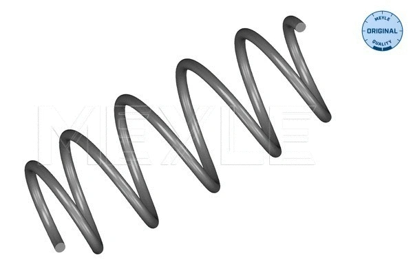 Suspension Spring (614 639 0000)