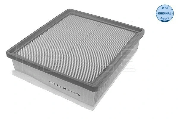 Air Filter (612 321 0015)