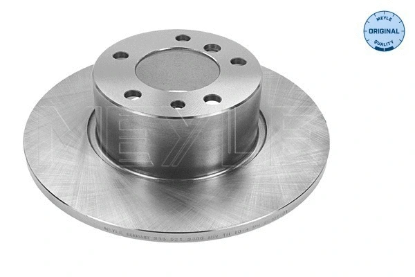 Brake Disc (315 521 3006)