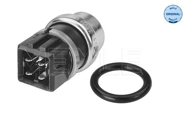 Sensor, coolant temperature (100 919 0023)