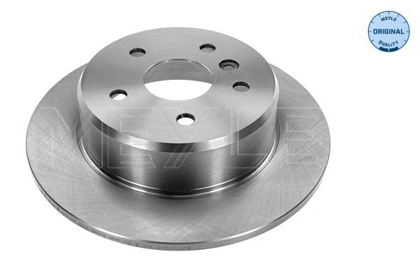 Brake Disc (30-15 523 0021)