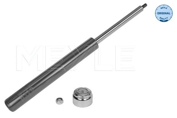 Shock Absorber (11-26 624 0001)