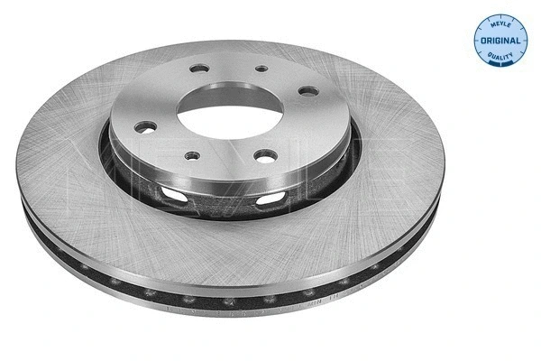 Brake Disc (515 521 5019)