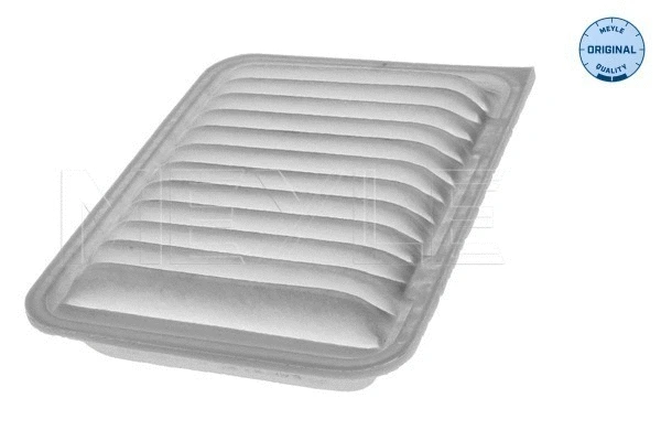 Air Filter (30-12 321 0008)
